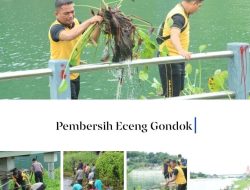 Polres Samosir bersama Instansi Lainnya Melaksanakan Pembersihan Eceng Gondok di Perairan Danau Toba Wilayah Hukum Polres Samosir