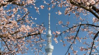 10 Fakta Unik Jepang yang Jarang Diketahui Wisatawan